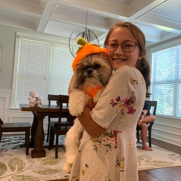 Meet your Posher, Robin - Picture 1 of 1